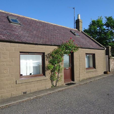 Johnshaven Myrtle Cottage מראה חיצוני תמונה