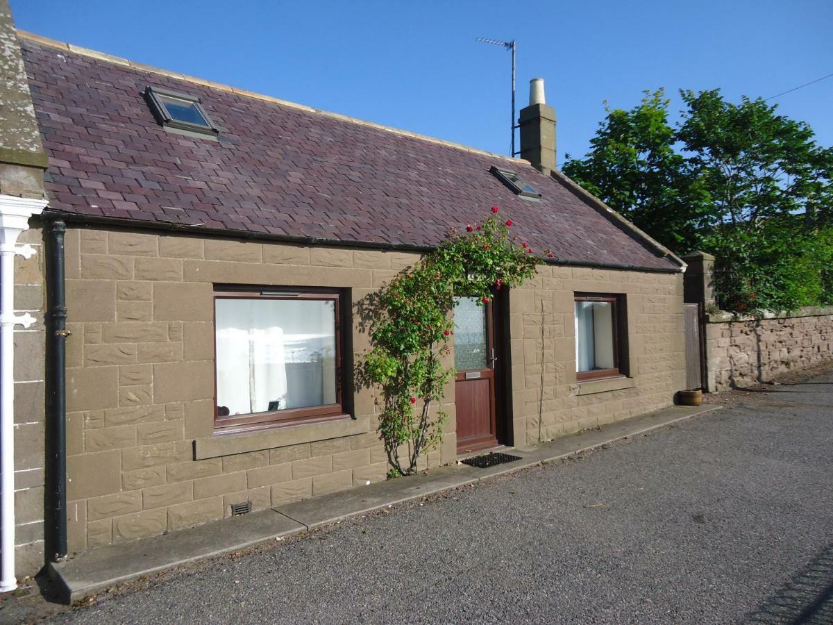 Johnshaven Myrtle Cottage מראה חיצוני תמונה